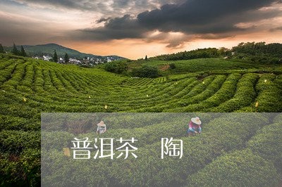 普洱茶 陶/2023090562395